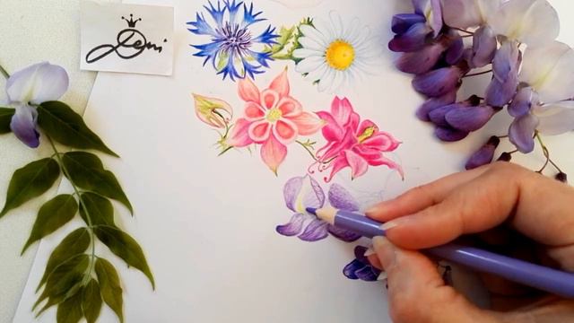 Blauregen zeichnen 🍇Glyzine malen🌸 Illustration💦How to Draw a Wisteria🍇как се рисува акация Глиц смотреть онлайн