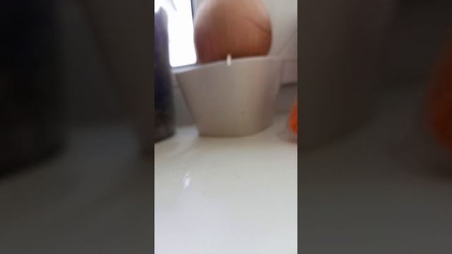 как мои растут растения смотреть онлайн