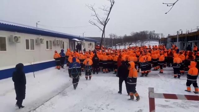 фирма Стг на острове русский смотреть онлайн