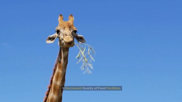 Amazing Facts | The Harmful Effects of Pollution on Animals смотреть онлайн