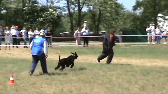 показательные выступления по усложнённой защите 2012 смотреть онлайн