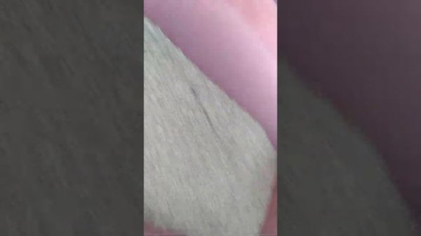 Подсеиваем клевер с тимофеевкой на сенокосах!!!