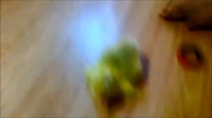 Что делать если гусёнок на шпагате