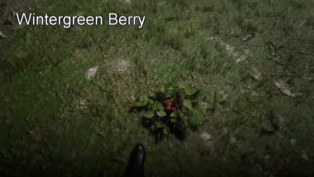 Red Dead Redemption 2 - All Food and Drinks смотреть онлайн