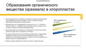 6 класс  Фотосинтез  Значение фотосинтеза