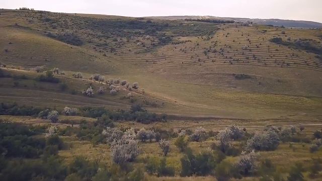 Ghenadie Negru---,,Taticul Meu E La Razboi