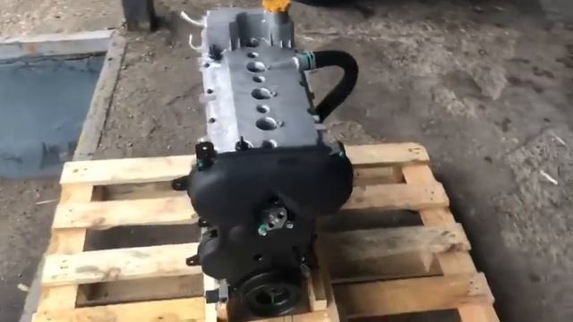 14 ноября 2023 г. смотреть онлайн