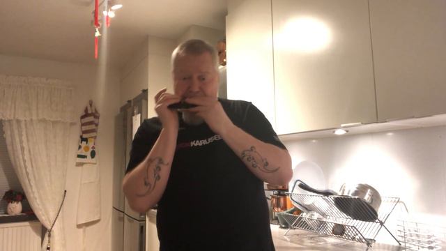 Work Song - Chromatic Harmonica смотреть онлайн
