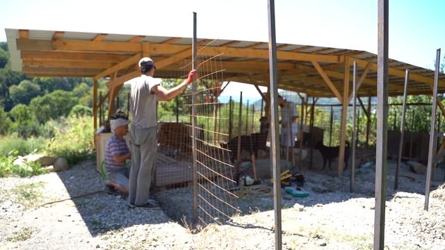 ПОМОЩЬ ПРИЮТУ ДЛЯ СОБАК «БИМ». НОВЫЙ ДОМ ДЛЯ ЖИВОТНЫХ смотреть онлайн