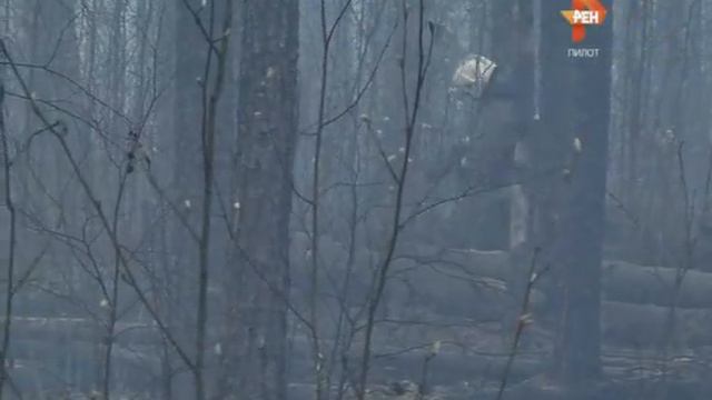 Посторонним вход воспрещен. 2015-05-12 смотреть онлайн