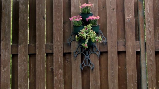 Создайте свою фитостену. Удобно монтировать дома, на балконе, в саду. 0+ смотреть онлайн