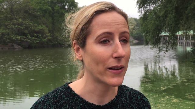 This Week In Shakespeare #57: Sonnet 23