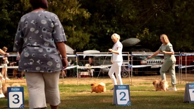 👑ЗААСИ ДАЙМОНД САМАРСКАЯ ЕПАРХИЯ ПЕРВАЯ👑aka🌺  Сеня🌺