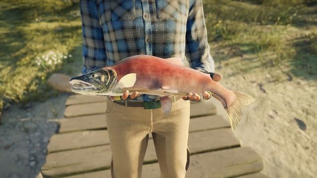 Gameplay Trailer | Call of the Wild: The Angler смотреть онлайн