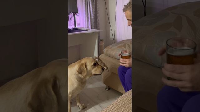 Слово пацана - кровь на собаке