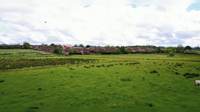 Охранник нарисовал глаза картине ученицы Малевича пояснил смотреть онлайн