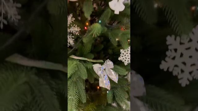 Лучший подарок на Новый год #новый2023год #кот #елка #подарок смотреть онлайн