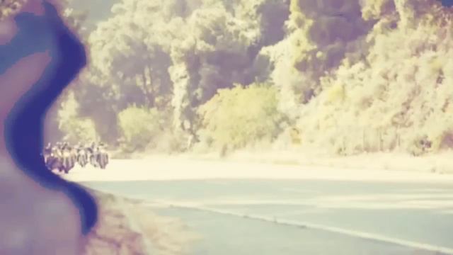 Sons Of Anarchy | Jailbreak