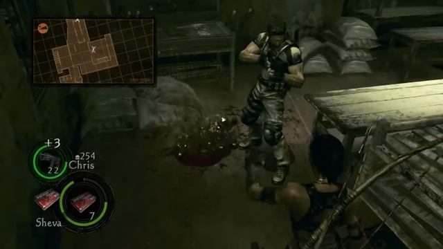 Resident Evil 5 Cooperativo PC Gameplay Ati Radeon HD 6670 1GB смотреть онлайн