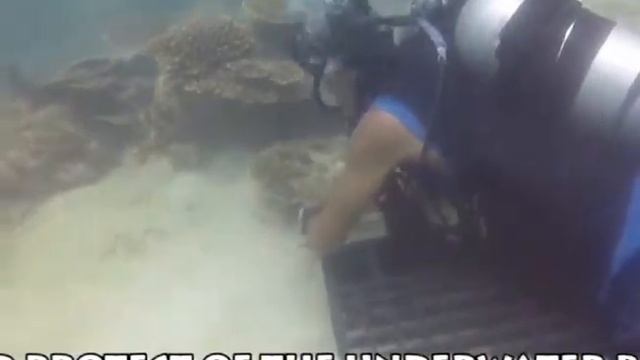 Ngwe Saung Beach Coral Plantation Project