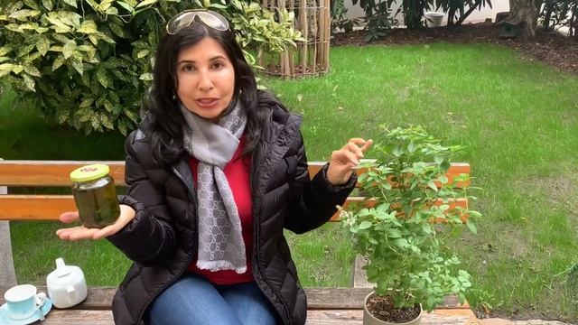 Здоровый Образ Жизни в Движении