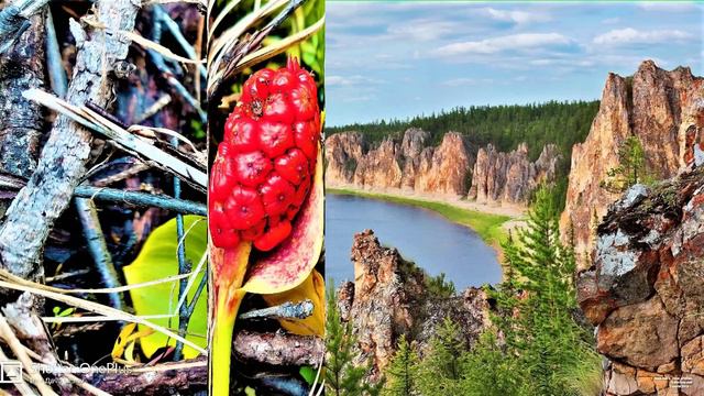 ✔ *СРОЧНО* «Плеядеанцы - раскрытие потенциала человека !» смотреть онлайн