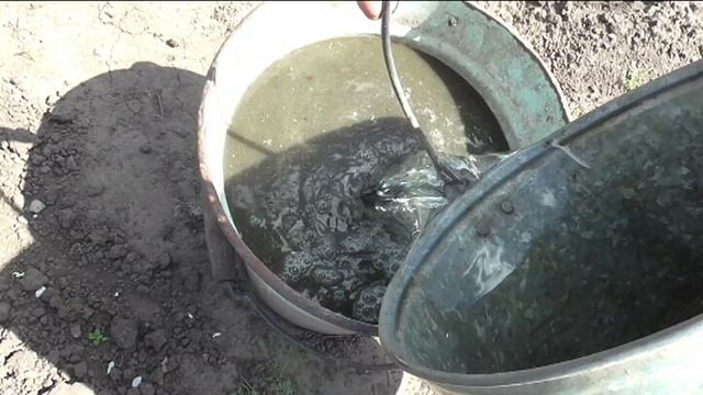 Как приготовить раствор куриного помета для подкормок растений