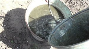 Как приготовить раствор куриного помета для подкормок растений