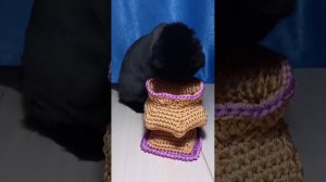 КОШКА ЗАЙКА и ВАЗОЧКА