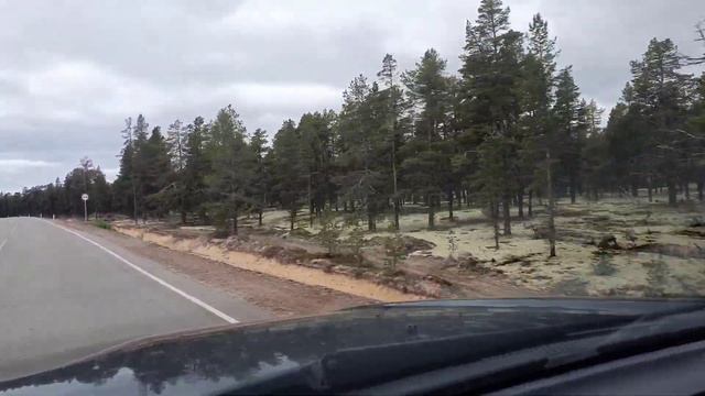 20.06.2022 Кольский полуостров. Варзуга Кузомень. Ковер ягеля смотреть онлайн