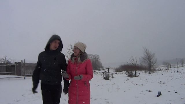 Заработок в деревне // Покупка теленка // Деревенские каналы // Аграном в каждый дом