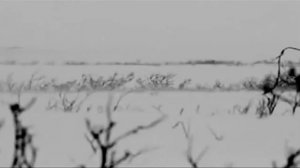 Саласпилсский шталаг