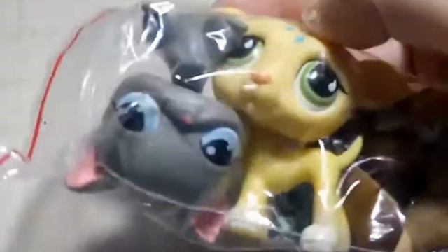 lps: розпаковка посилки реткий петов смотреть онлайн