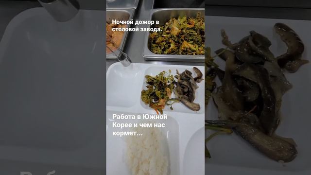 Работа в Южной Корее и чем кормят рабочих. #южнаякорея #koreanvlog #работавкорее смотреть онлайн