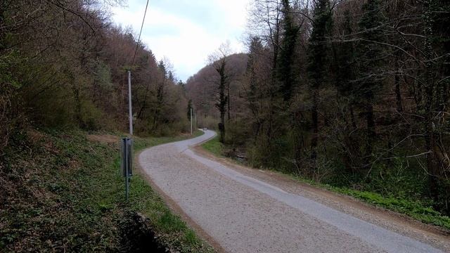 WRC Croatia 2021 TOK Sport TEST - Škoda Fabia Rally2 Evo - SUBSCRIBE!!! смотреть онлайн