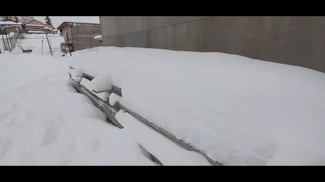 Новогодние веники для коз! смотреть онлайн