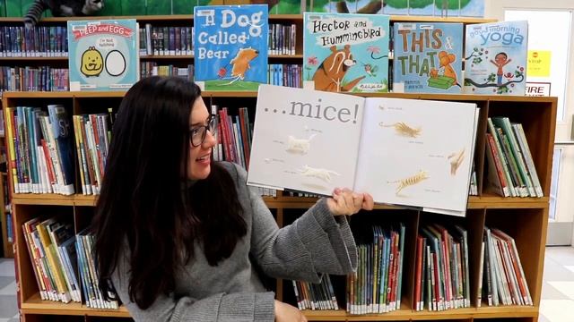 BPL Storytime One Moon, Two Cats смотреть онлайн