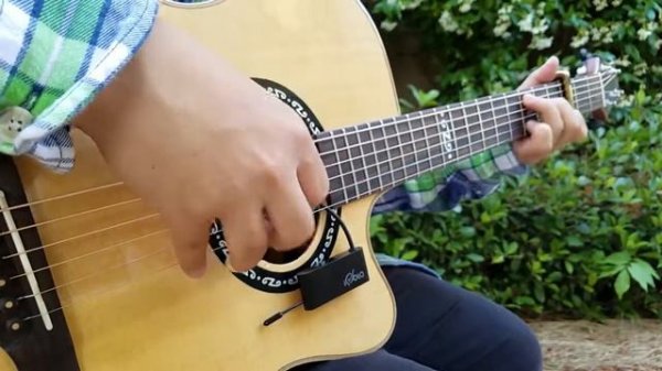 [FREE TABS] Paramore - Hard Times Fingerstyle Guitar Cover