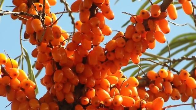 Строительные Размышления