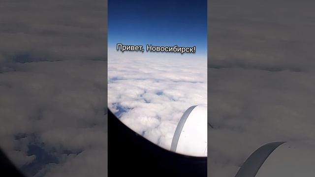 Привет, Новосибирск! #Новосибирск смотреть онлайн