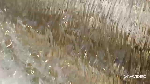 Ворона наслаждается водопадом. Красивый водопад. Живые звуки природы смотреть онлайн