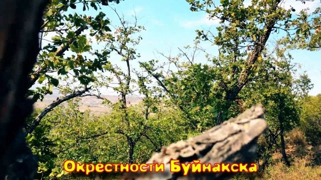 Братья Гримм Братец и сестрица Окрестности Буйнакска - Brothers Grimm Brother and sister Suburbs смотреть онлайн