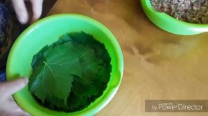 Долма из свежих виноградных листьев