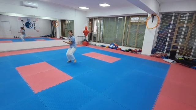 kata Shito-ryu karate-do originally seienchin Каратэ Шито рю сейчин киев Украина смотреть онлайн