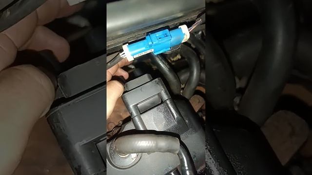 Posição dos cabos de vela do Ford Ka, Fiesta, Courier. смотреть онлайн