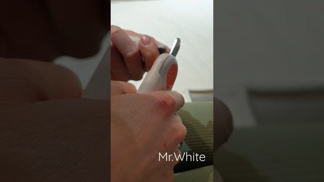 СТРИЖЕМ КОГТИ ЧИХУАХУА - Mr.White мужественно терпит! смотреть онлайн