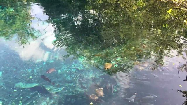 Голубая лагуна в Пунта Кана смотреть онлайн