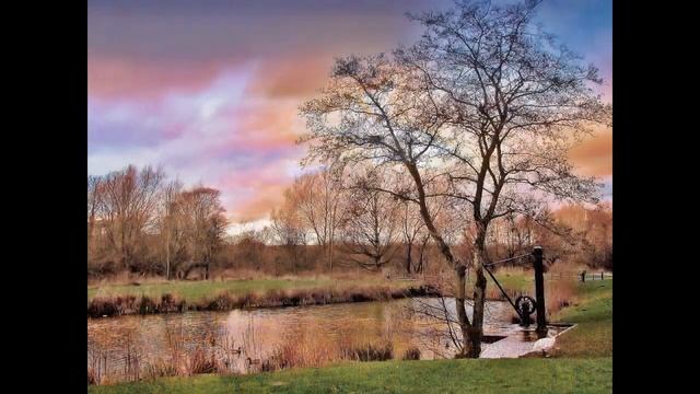 Higher Res Canon Sx510 HS Photo's by David Thornber смотреть онлайн