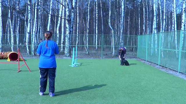 Федорова Мария и метис Фокс на первенстве санкт петербурга 12.04. 2015 смотреть онлайн