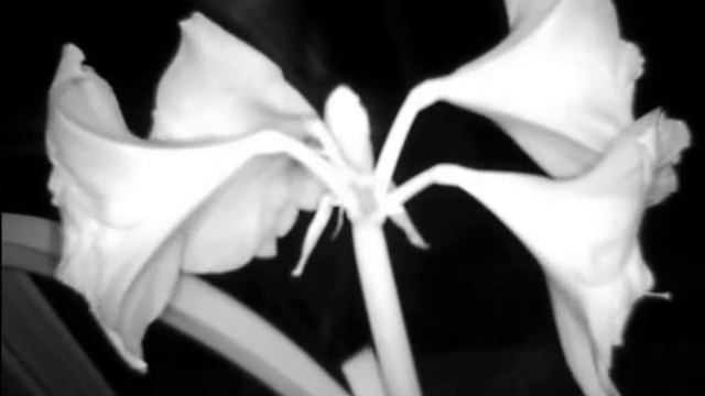 "Жить значит верить в лучшее" смотреть онлайн